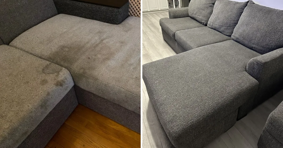 one side showing a couch or piece of furniture with visible stains or odors (e.g., a musty look) and the other side showing the same furniture fresh, clean, and odor-free.