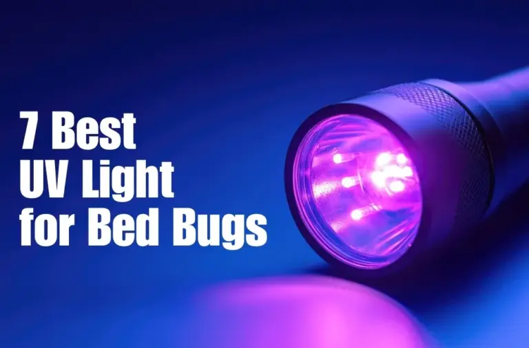 Best UV Light for Bed Bugs