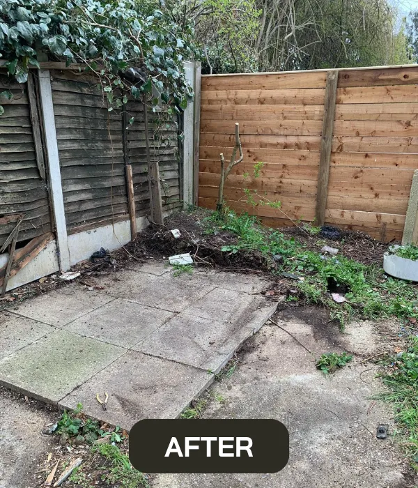 Shed Demolition services in chicago il