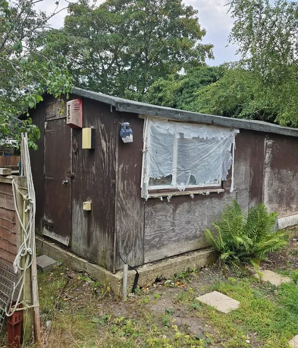 Shed removal services in chicago