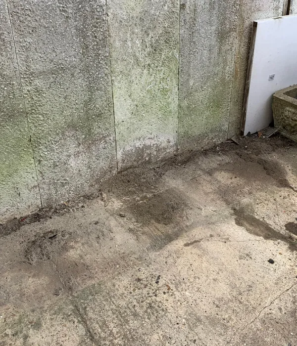 chicago shed junk removal after