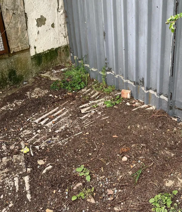 shed junk removal in chicago after