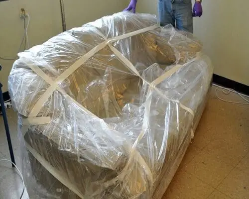 bed bug furniture removal