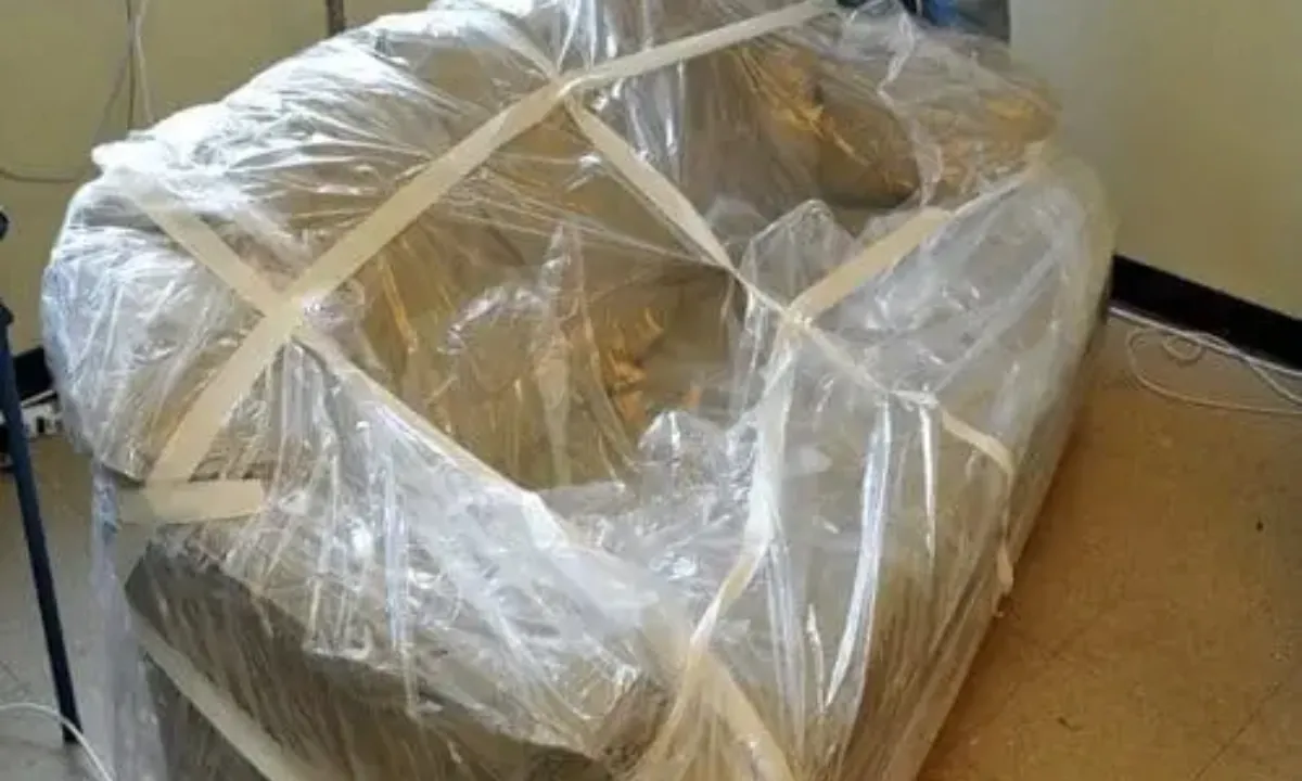 Items prepared for bed bug removal