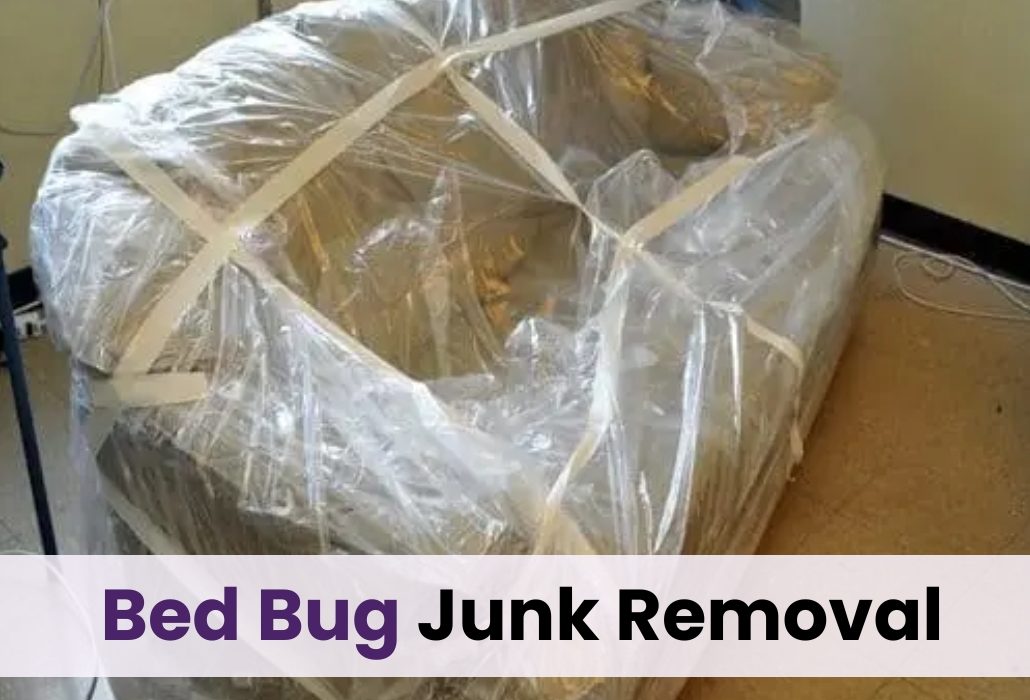beg bug junk removal in chicago