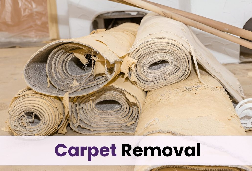 carpet junk removal in chicago